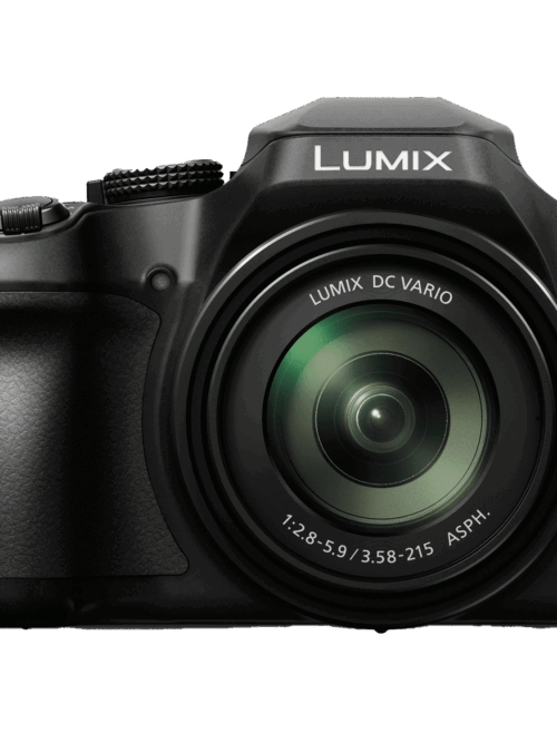 Panasonic Lumix DC-FZ80 18.1 Megapixel Bridge Camera
