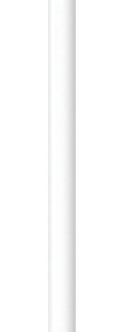 Caneta Stylus Apple A1603 1ª geração cor branco